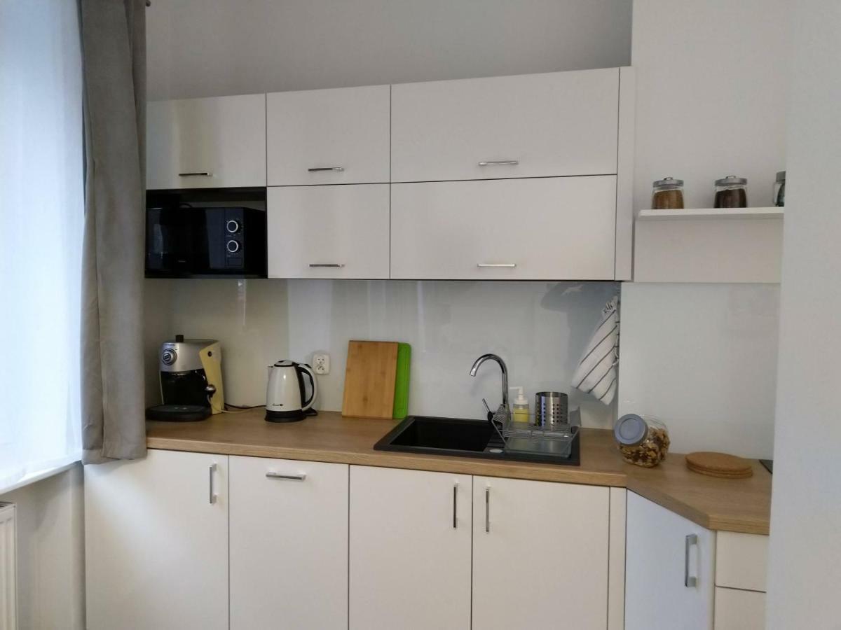 Apartament Przedzamcze Stary Toruń المظهر الخارجي الصورة
